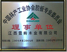 中國林產工業協會膠板專業委員會